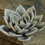 Play with Clay – Succulents